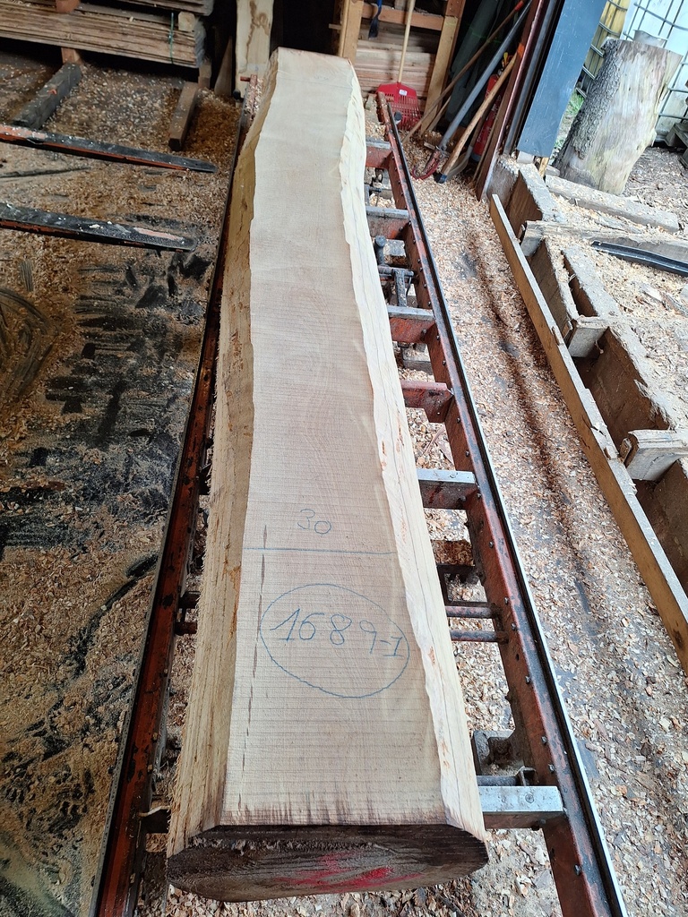 [PL-HET-1689-1] Plateau Hêtre 28 x 300-390 x 4120 mm de la boule 1689 - 1
