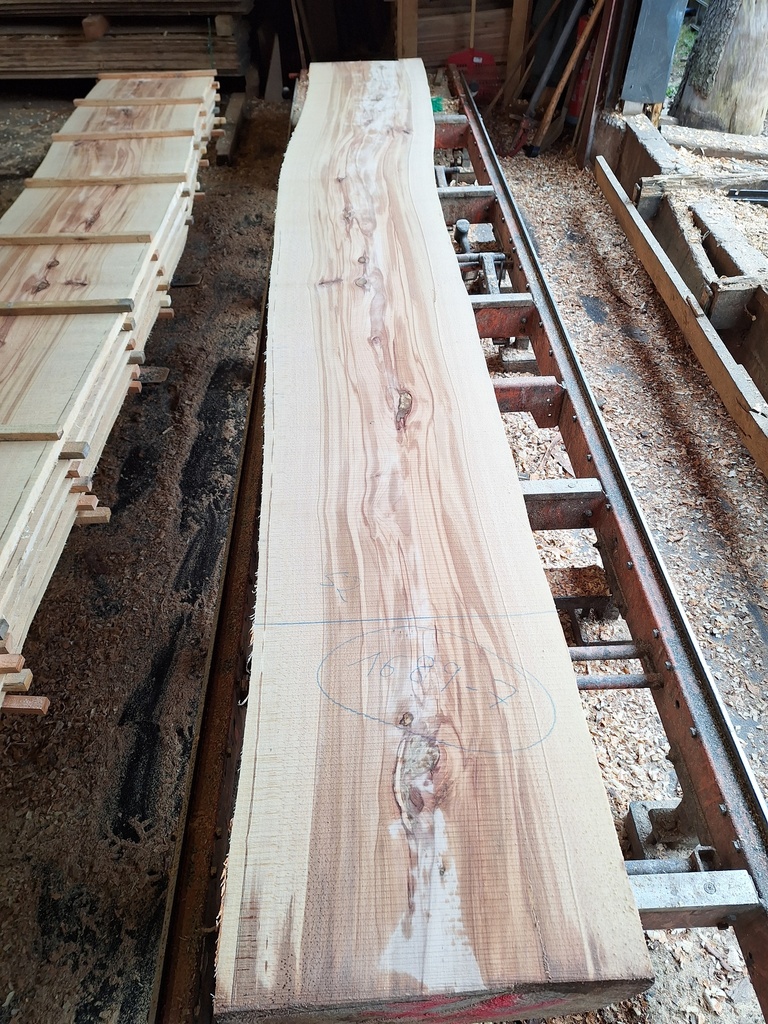 Plateau Hêtre 28 x 520-560 x 4120 mm de la boule 1689 - 7