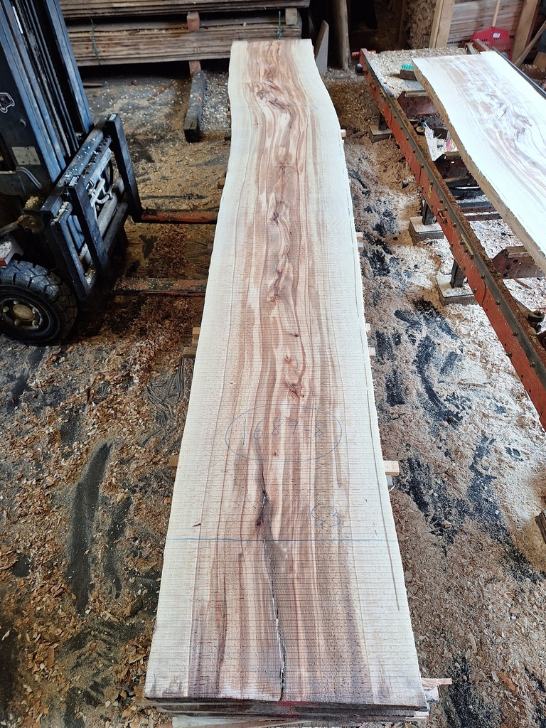 Plateau Hêtre 28 x 530-570 x 4120 mm de la boule 1689 - 8