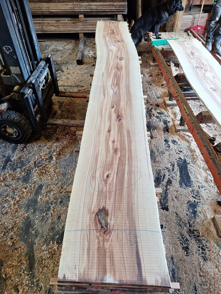 Plateau Hêtre 28 x 500-530 x 4120 mm de la boule 1689 - 10