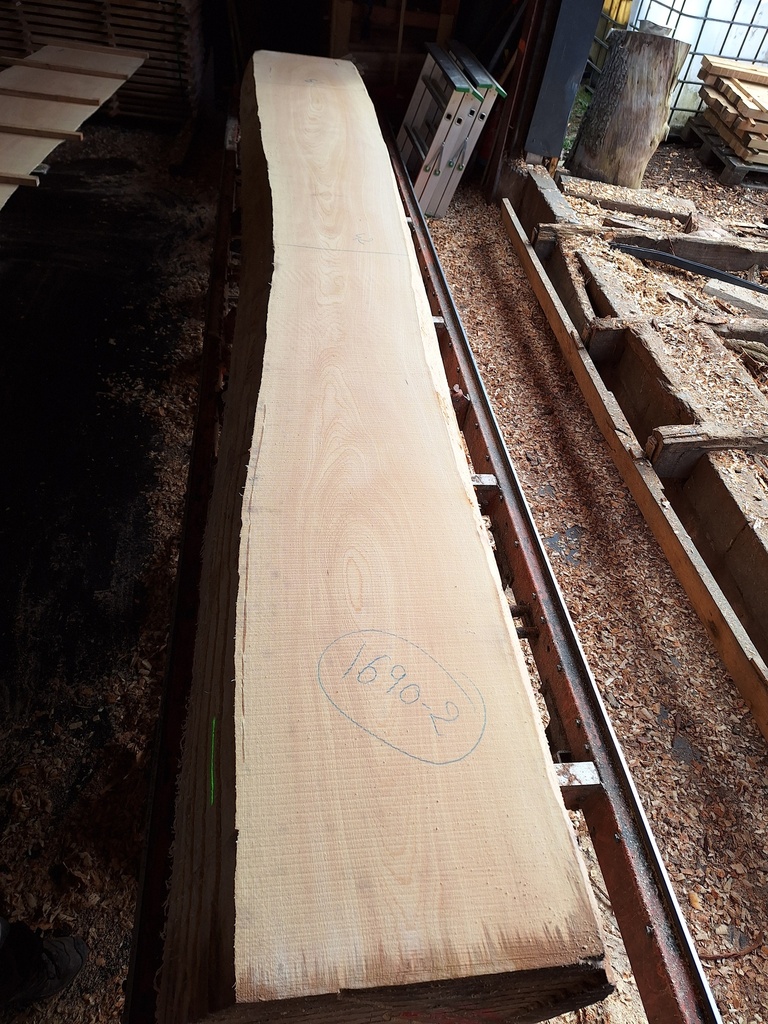 [PL-HET-1690-2] Plateau Hêtre 28 x 420-520 x 4190 mm de la boule 1690 - 2