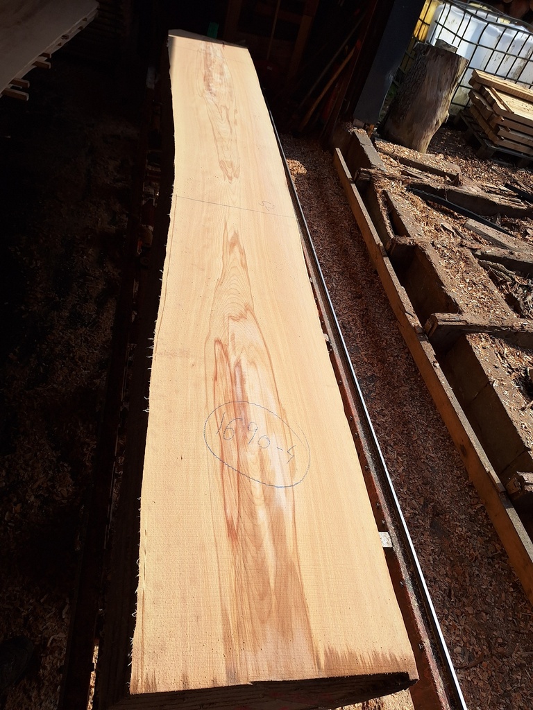 Plateau Hêtre 28 x 520-600 x 4190 mm de la boule 1690 - 4