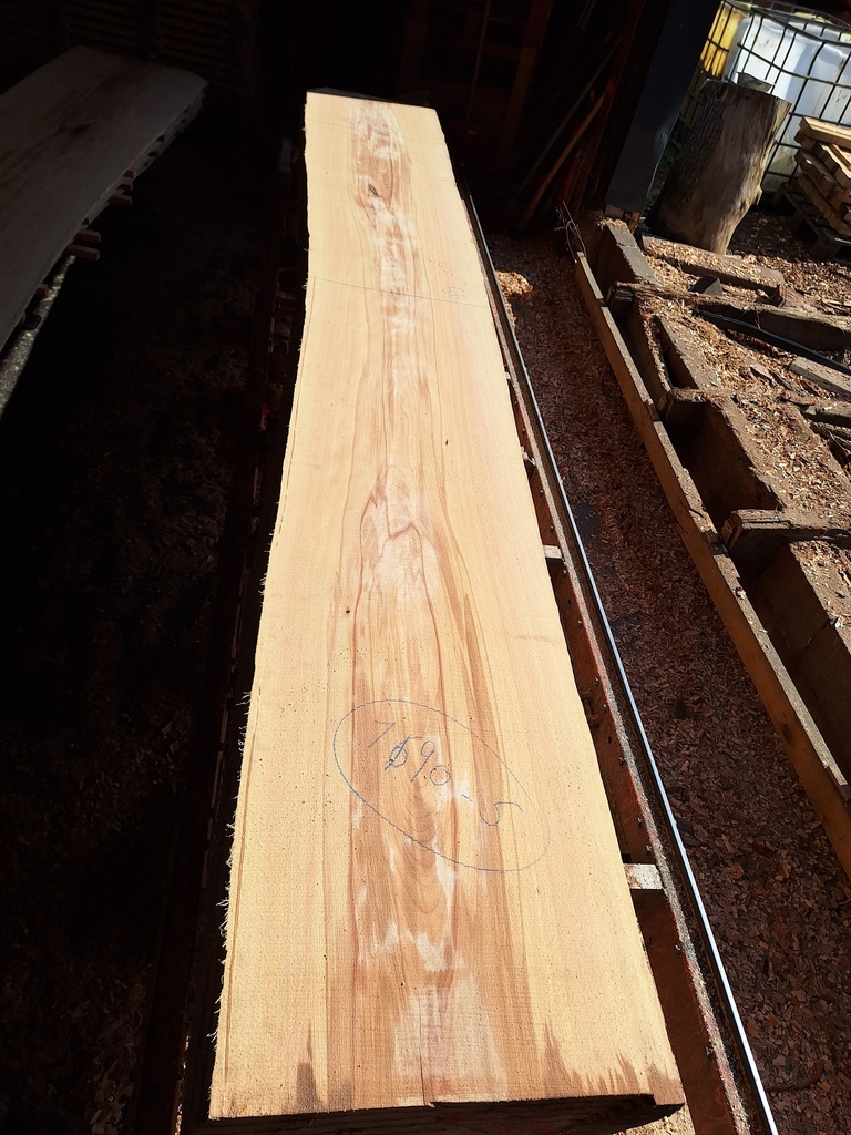 [PL-HET-1690-5] Plateau Hêtre 28 x 560-620 x 4190 mm de la boule 1690 - 5