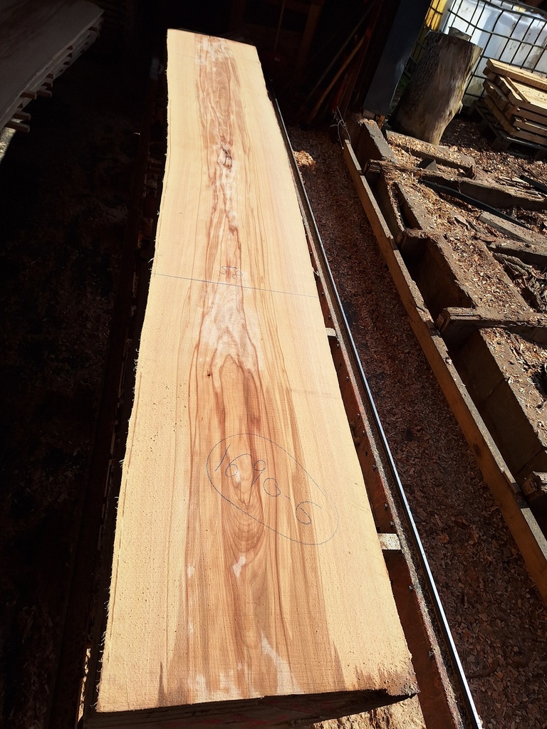 Plateau Hêtre 28 x 580-630 x 4190 mm de la boule 1690 - 6