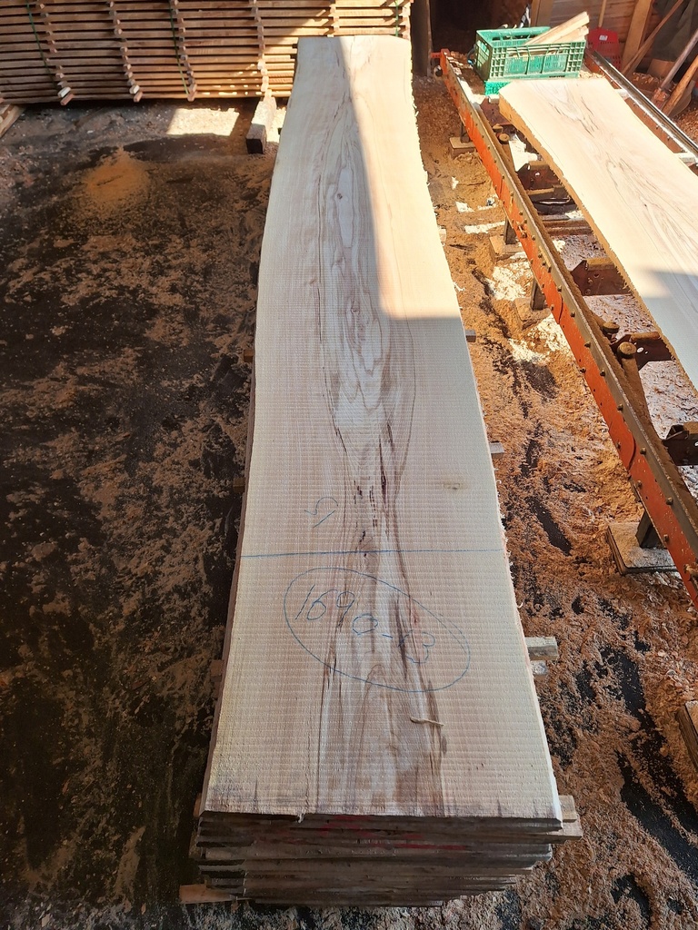 Plateau Hêtre 28 x 510-600 x 4190 mm de la boule 1690 - 13