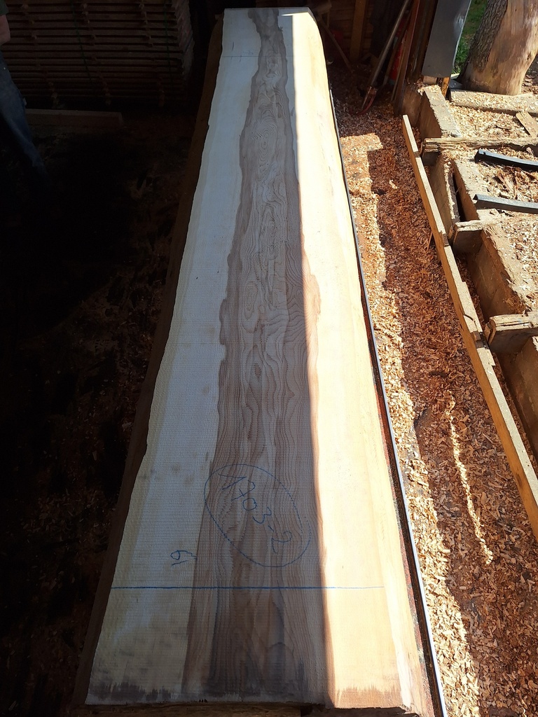 Plateau Hêtre 43 x 560-610 x 4200 mm de la boule 1703 - 2