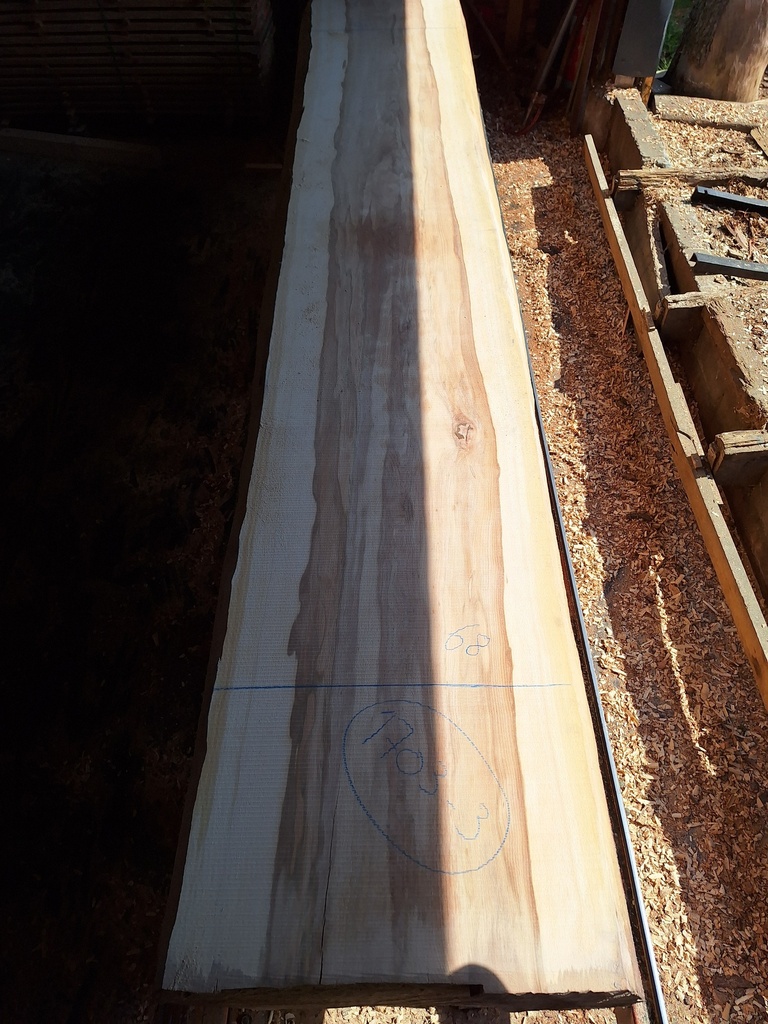 Plateau Hêtre 43 x 660-680 x 4200 mm de la boule 1703 - 3