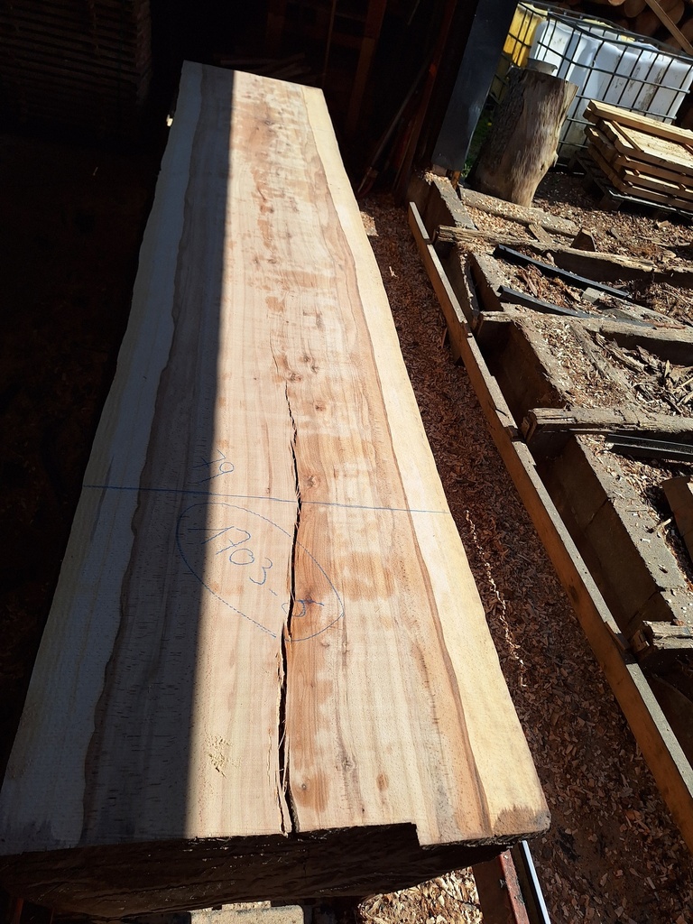 Plateau Hêtre 43 x 770-800 x 4200 mm de la boule 1703 - 6