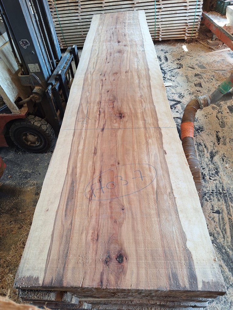 Plateau Hêtre 43 x 810-830 x 4200 mm de la boule 1703 - 7