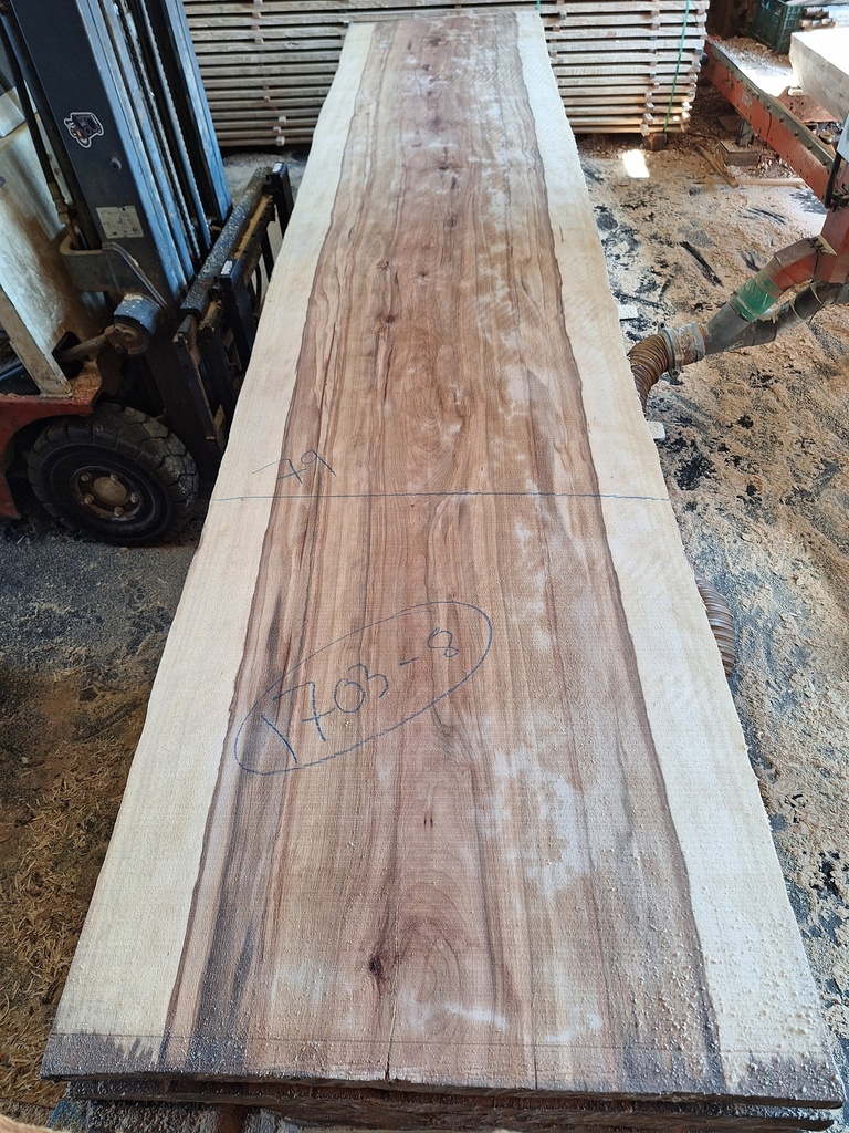 Plateau Hêtre 43 x 790-850 x 4200 mm de la boule 1703 - 8