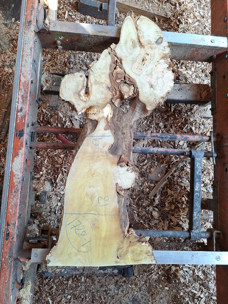 Plateau Robinier 23 x 100-210 x 1050 mm de la boule 1728 - 1