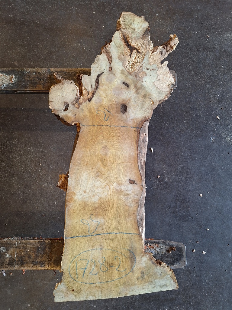 Plateau Robinier 23 x 210-250 x 1050 mm de la boule 1728 - 2