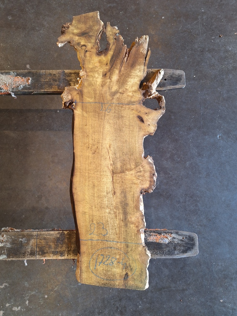 Plateau Robinier 23 x 230-260 x 1050 mm de la boule 1728 - 4