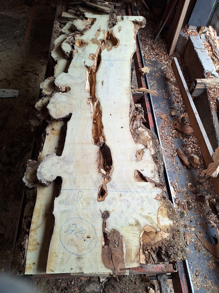 Plateau Robinier 43 x 460-510 x 2010 mm de la boule 1729 - 1