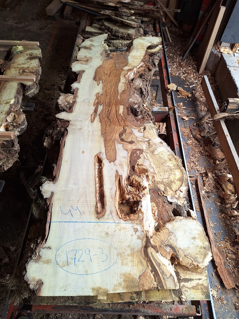 Plateau Robinier 43 x 440-550 x 2010 mm de la boule 1729 - 3