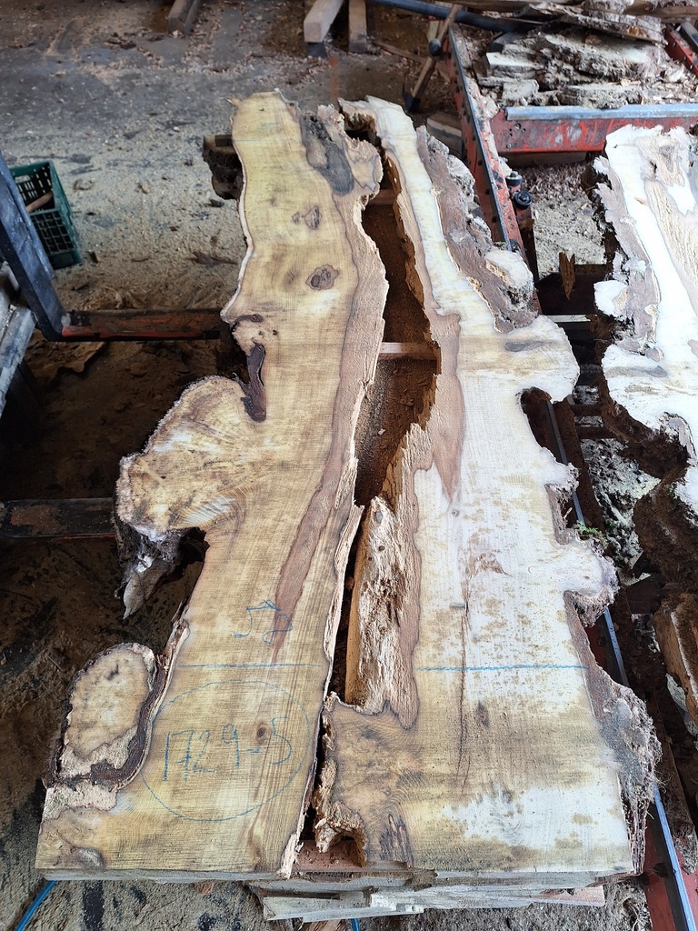 Plateau Robinier 43 x 500-580 x 2010 mm de la boule 1729 - 5