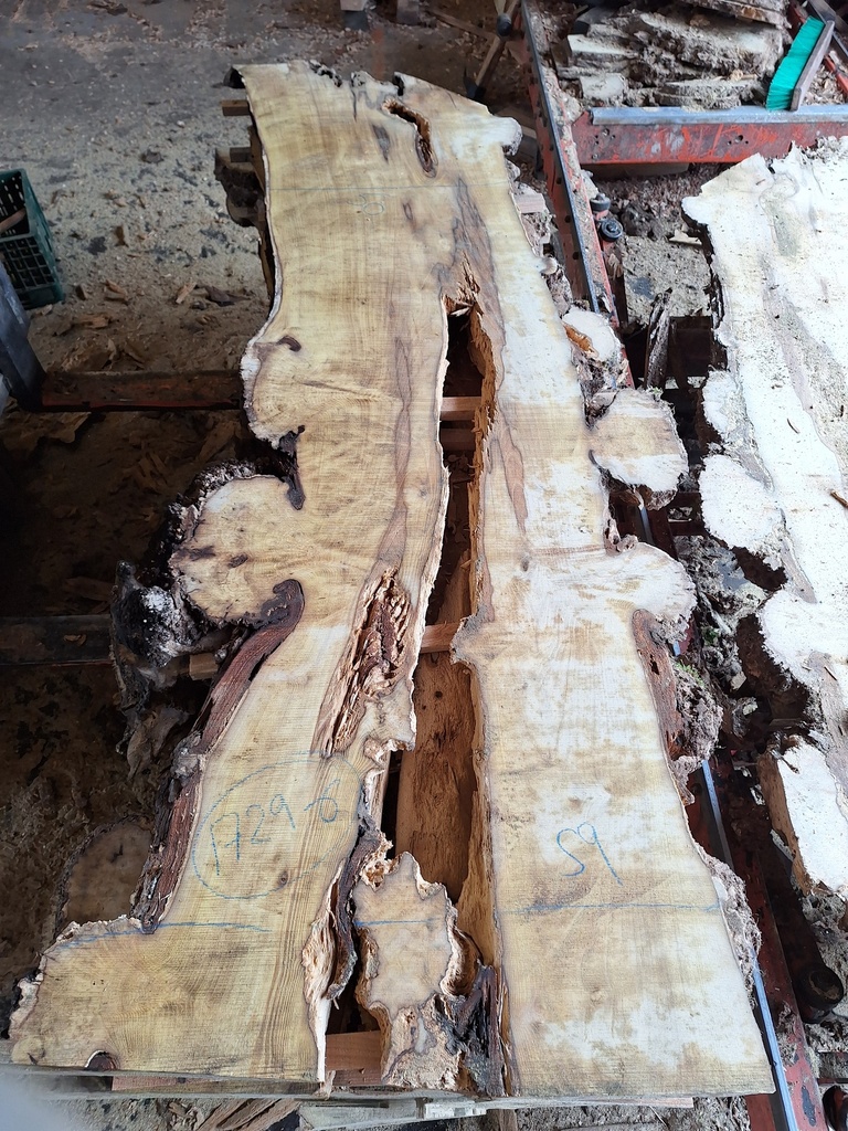 Plateau Robinier 43 x 500-590 x 2010 mm de la boule 1729 - 6