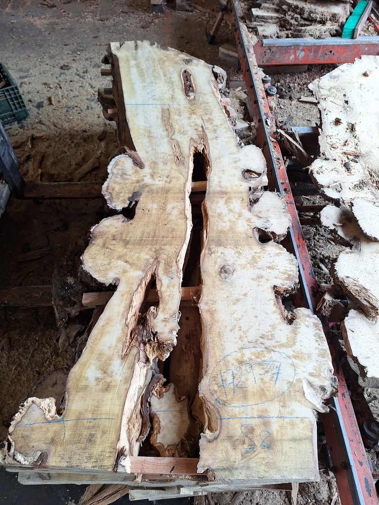 Plateau Robinier 43 x 430-580 x 2010 mm de la boule 1729 - 7