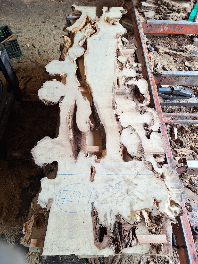 Plateau Robinier 23 x 360-500 x 2010 mm de la boule 1729 - 9