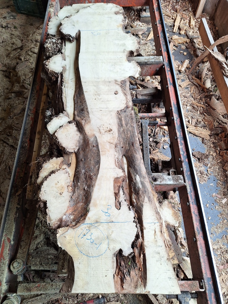 Plateau Robinier 28 x 280-300 x 1700 mm de la boule 1730 - 1