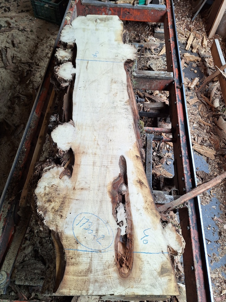 Plateau Robinier 28 x 300-400 x 1700 mm de la boule 1730 - 2