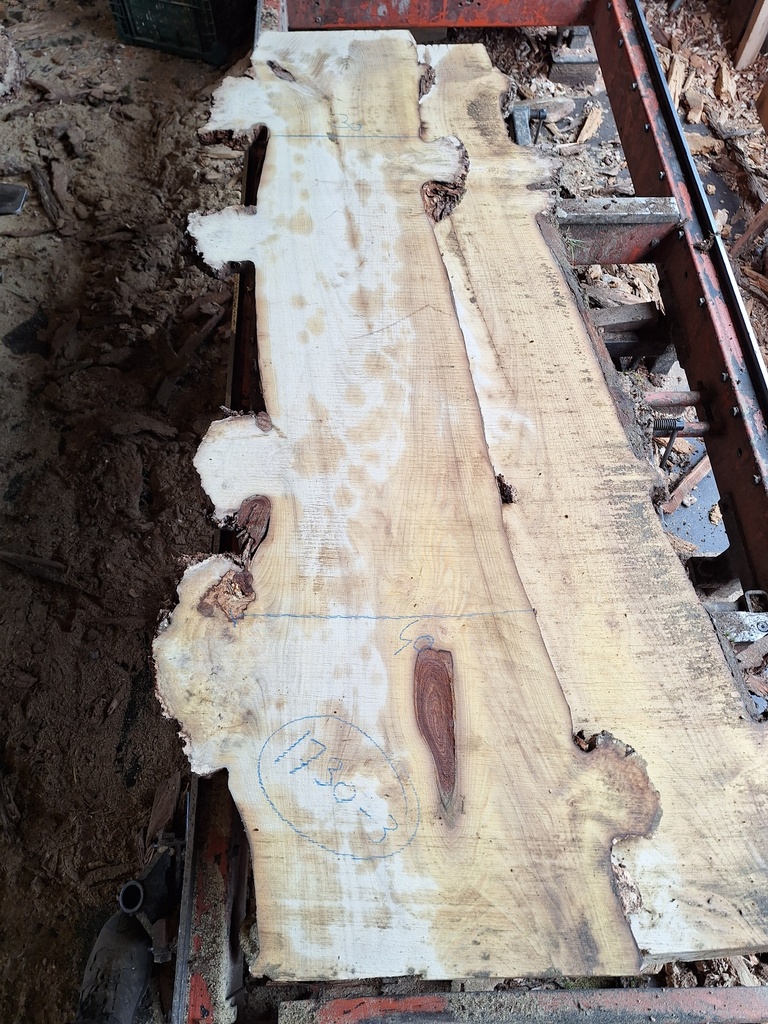 Plateau Robinier 28 x 300-400 x 1700 mm de la boule 1730 - 3