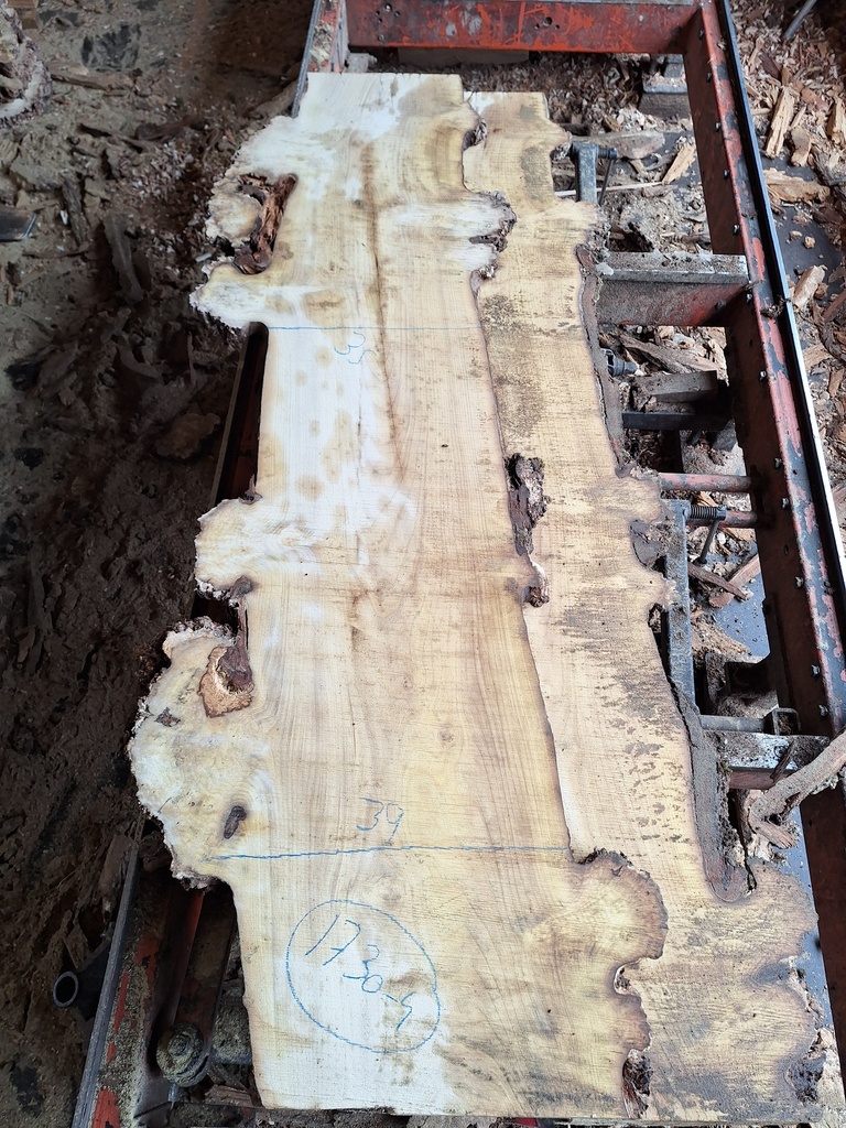 Plateau Robinier 28 x 350-390 x 1700 mm de la boule 1730 - 4