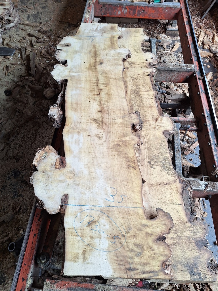 Plateau Robinier 28 x 340-350 x 1700 mm de la boule 1730 - 5