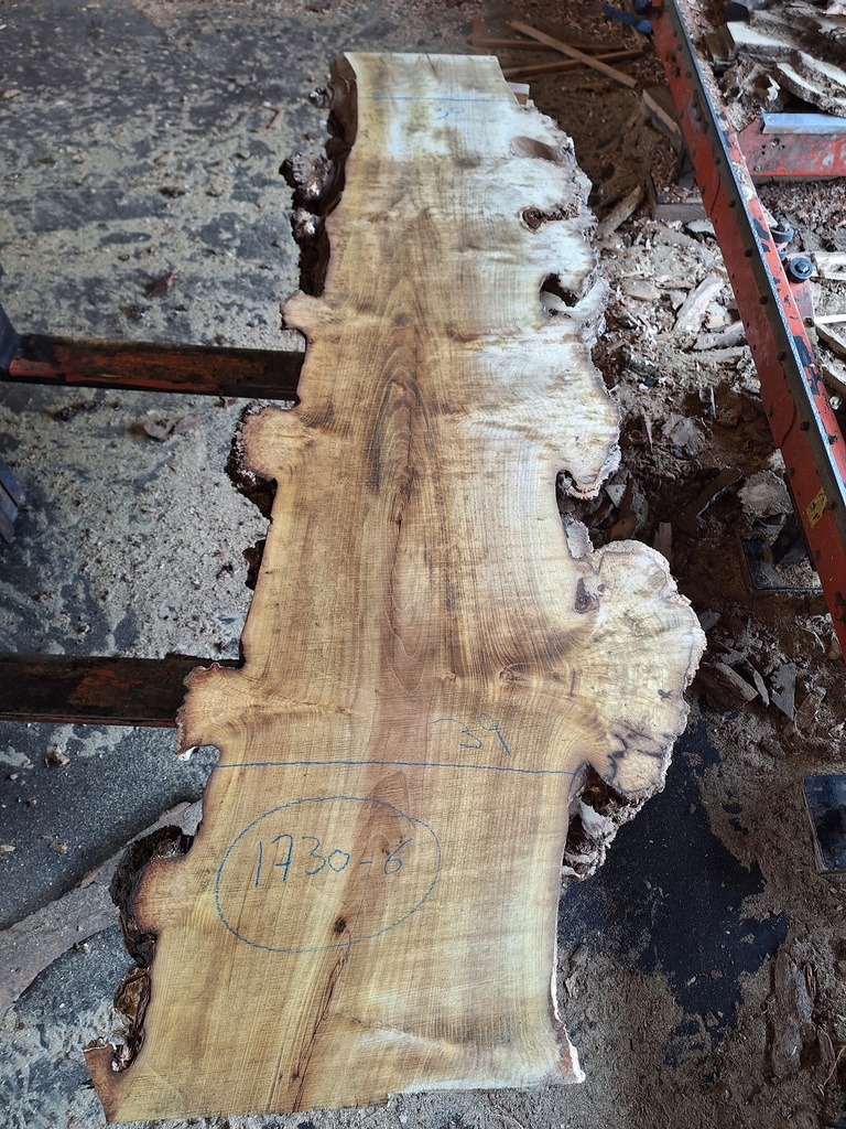 Plateau Robinier 28 x 300-390 x 1700 mm de la boule 1730 - 6