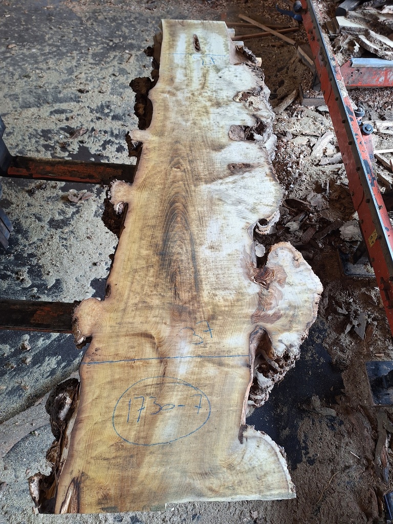 Plateau Robinier 28 x 270-370 x 1700 mm de la boule 1730 - 7