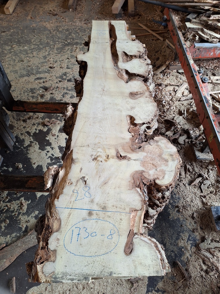 Plateau Robinier 28 x 250-280 x 1700 mm de la boule 1730 - 8