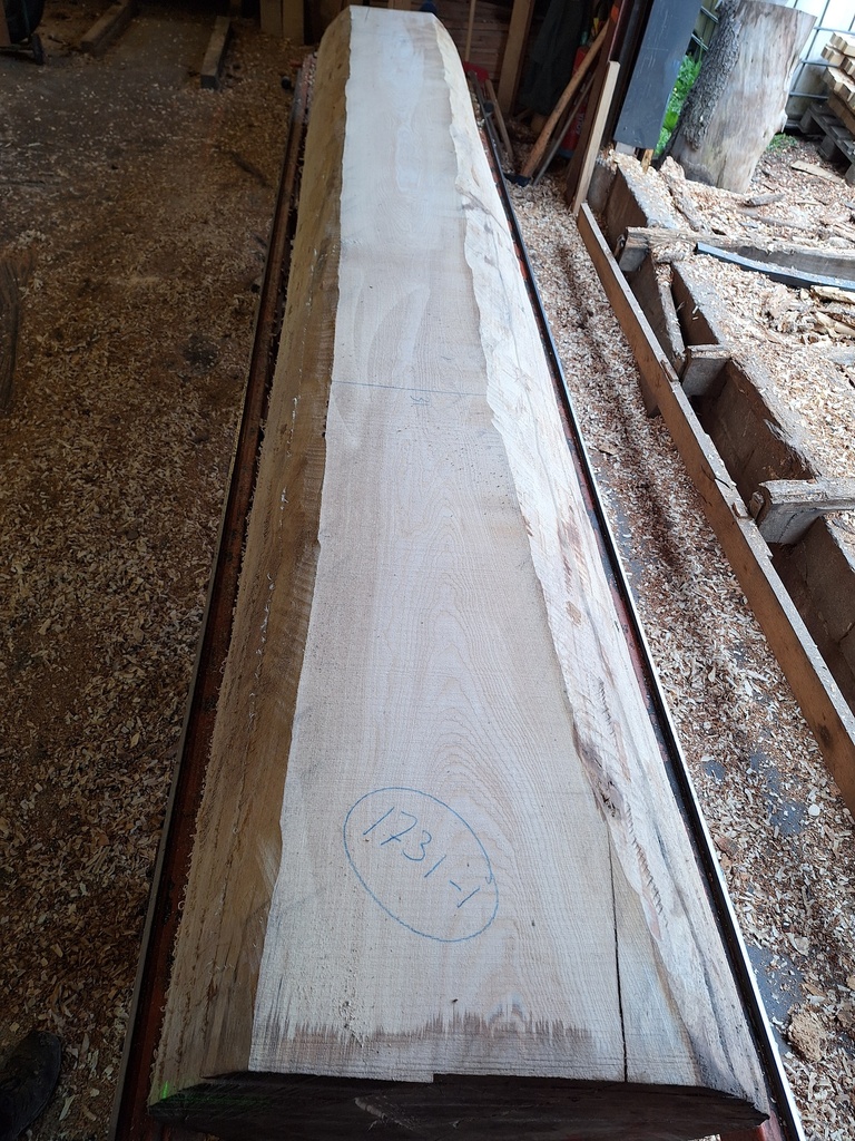 Plateau Hêtre 43 x 310-360 x 4200 mm de la boule 1731 - 1