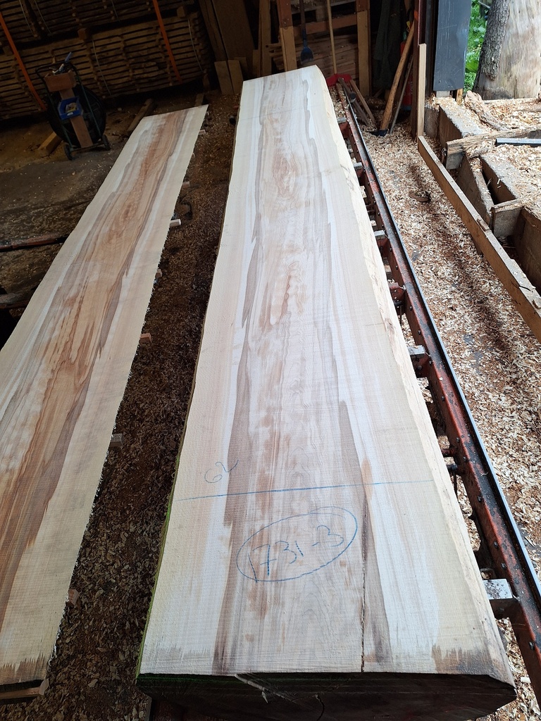 Plateau Hêtre 43 x 570-620 x 4200 mm de la boule 1731 - 3