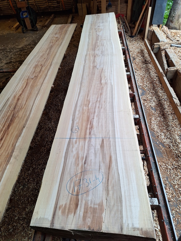 Plateau Hêtre 43 x 640-670 x 4200 mm de la boule 1731 - 4