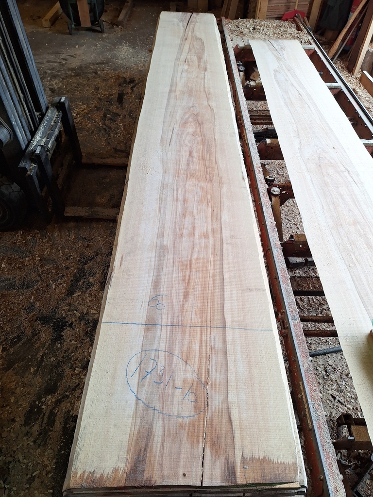 Plateau Hêtre 43 x 540-600 x 4200 mm de la boule 1731 - 10