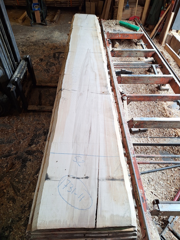 Plateau Hêtre 43 x 460-520 x 4200 mm de la boule 1731 - 11