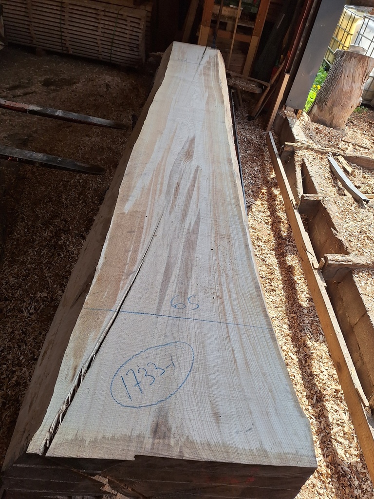 [PL-HET-1733-1] Plateau Hêtre 63 x 470-650 x 4100 mm de la boule 1733 - 1