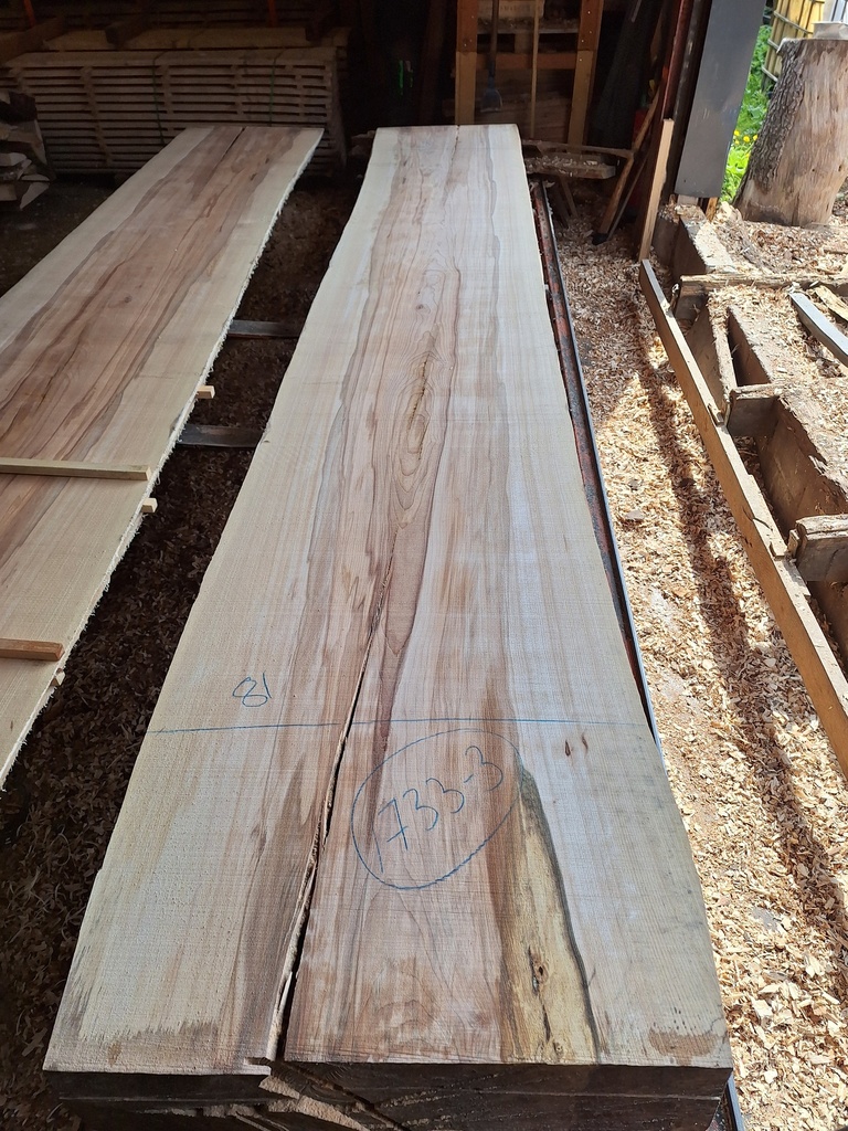 Plateau Hêtre 63 x 680-810 x 4100 mm de la boule 1733 - 3