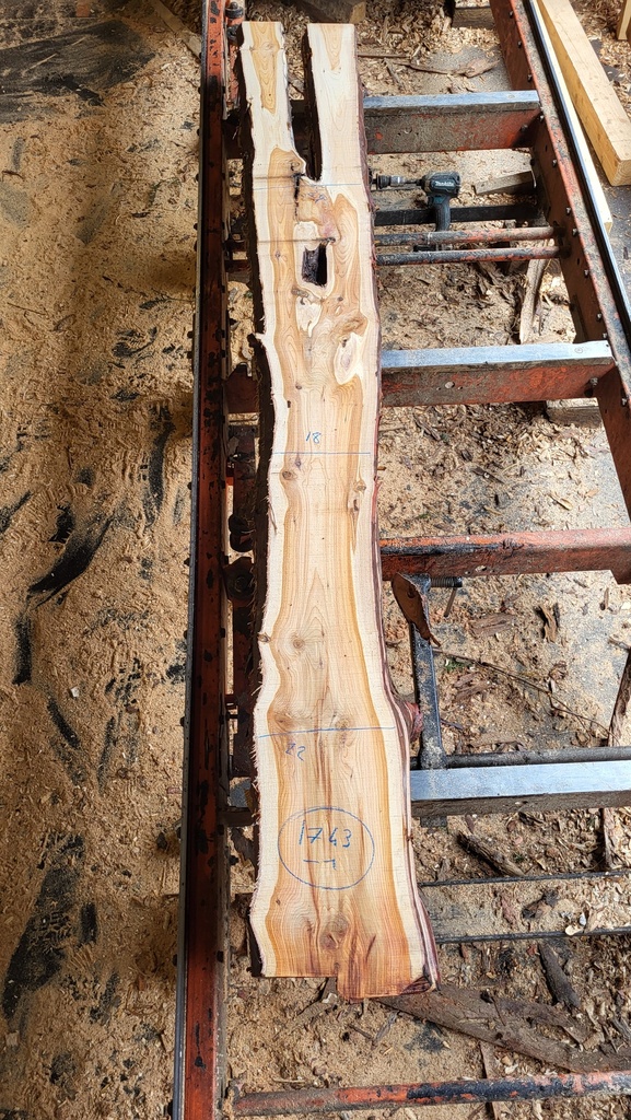 Plateau If 28 x 180-290 x 2400 mm de la boule 1743 - 1