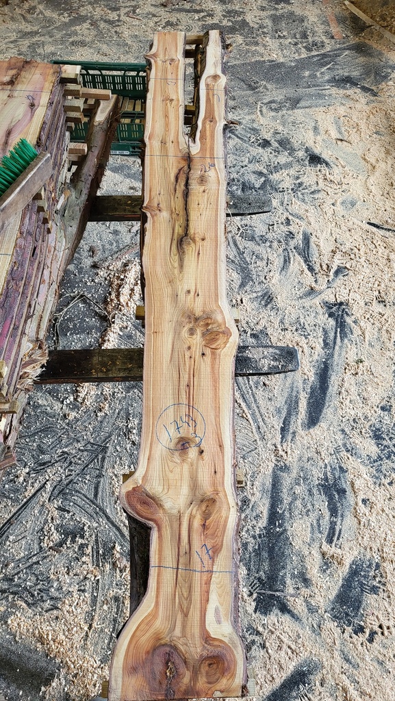 Plateau If 28 x 170-260 x 2400 mm de la boule 1743 - 3