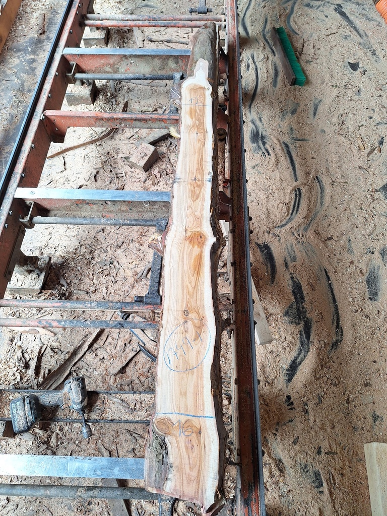 Plateau If 28 x 120-160 x 1600 mm de la boule 1749 - 1