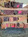 Carrelet d'If (Taxus baccata) 45x45mm