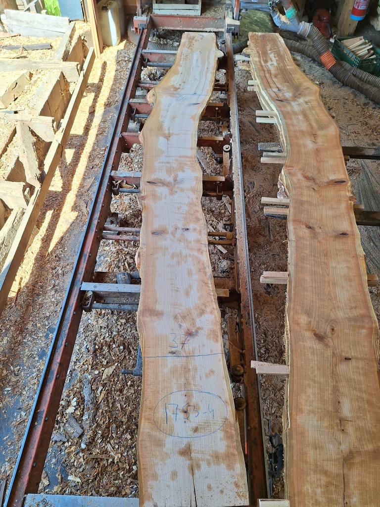 Plateau Merisier 28 x 370-460 x 3100 mm de la boule 1753 - 4