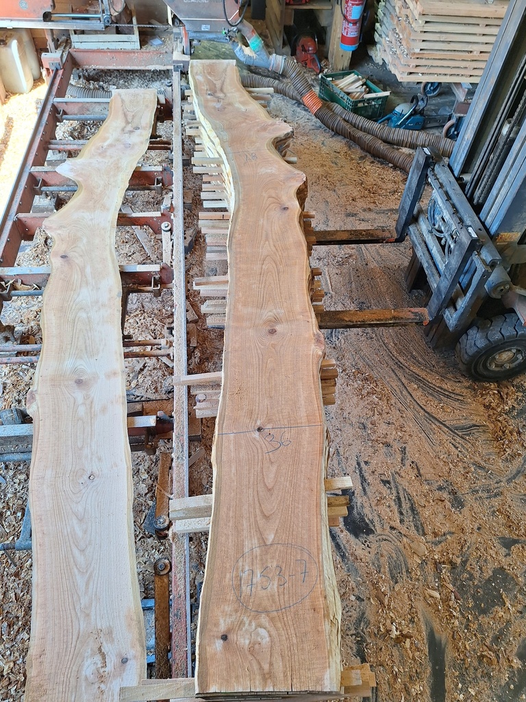 Plateau Merisier 28 x 280-360 x 3300 mm de la boule 1753 - 7