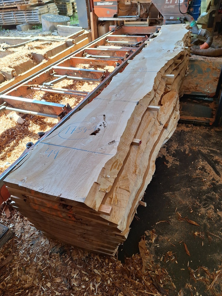 Boule Chataigner - 1754