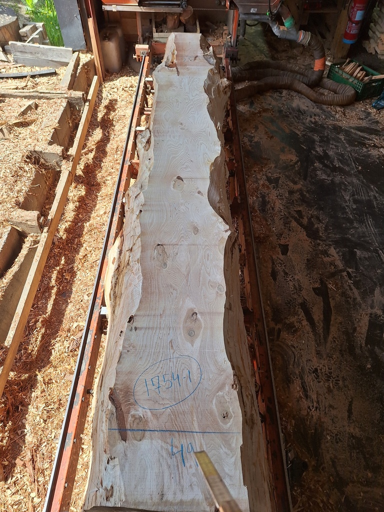 Plateau Chataigner 43 x 250-490 x 4050 mm de la boule 1754 - 1