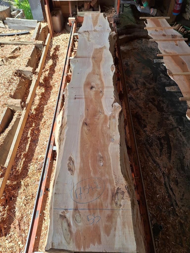 Plateau Chataigner 43 x 390-550 x 4050 mm de la boule 1754 - 2