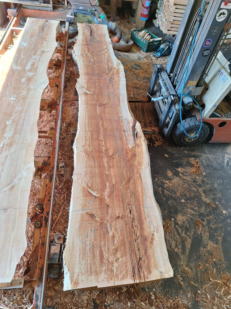 Plateau Chataigner 43 x 500-680 x 4050 mm de la boule 1754 - 6