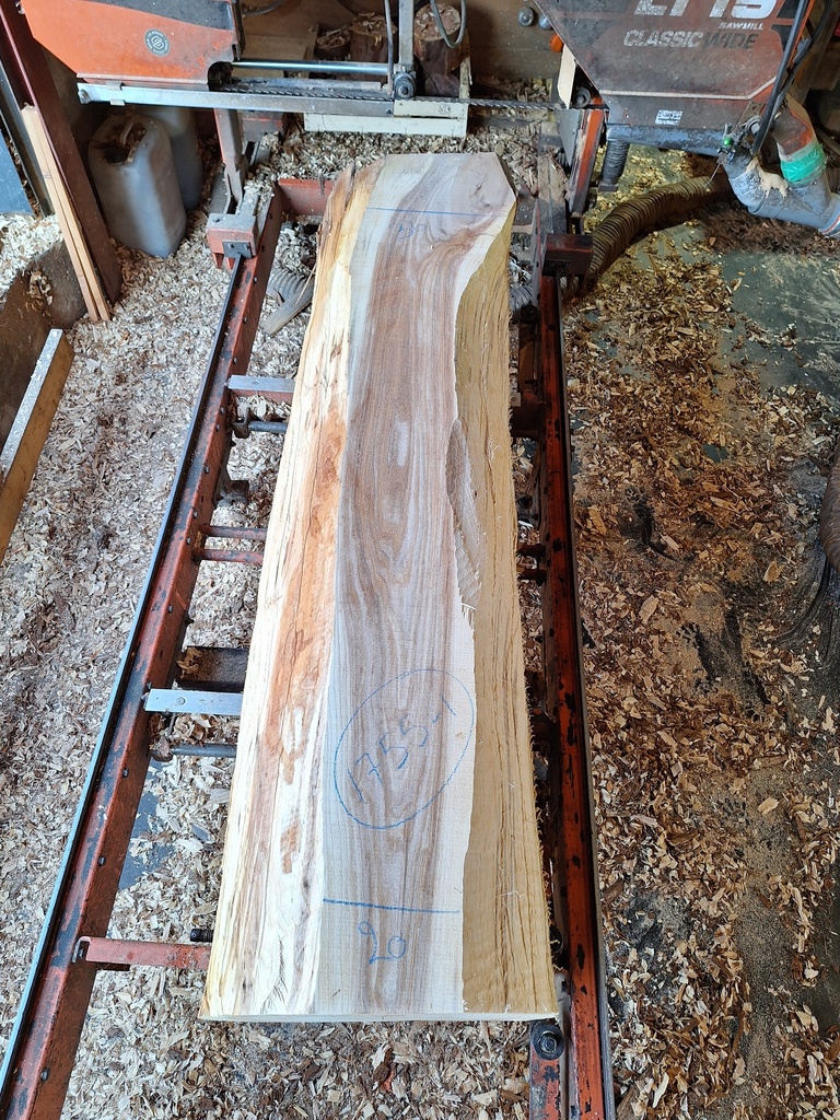 Plateau Orme 53 x 200-360 x 2030 mm de la boule 1755 - 1