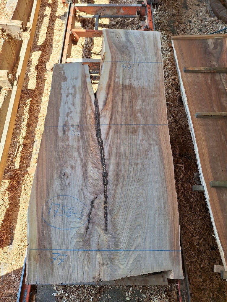 Plateau Orme 53 x 770-840 x 1880 mm de la boule 1756 - 3